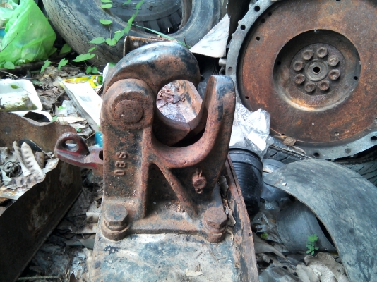 ปากนกแก้วสวยมาก ปากนกแก้วสวยมาก