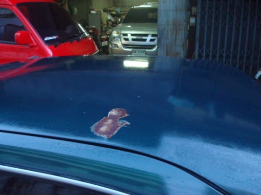 รถเก๋งถูกๆ