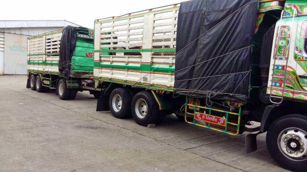 ขายด่วน  รถสิบล้อสองเพลาไม่ดั้มพ์  HINO  MEGA  320  ปี 47  สภาพดีมาก  พร้อมใช้งาน  เอกสารพร้อม