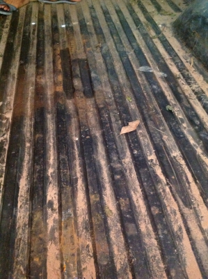 ไมตี้ปี39 ตอนเดียว