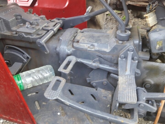 ขายแมสซี่ 275 มีเล่ม ขายแมสซี่ 275 มีเล่ม