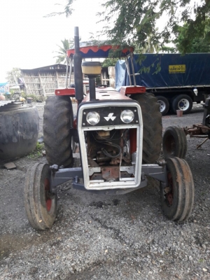 ขายแมสซี่ 275 มีเล่ม ขายแมสซี่ 275 มีเล่ม