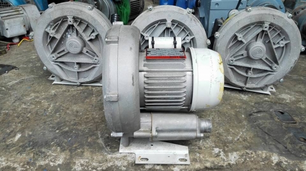 ** SOLD ** ริงส์โบวเวอร์ดูดเป่าอิตาลี่ ESAM ITALY 1/2 HP 220V สวยๆลื่นๆเงาๆมาเทสได้!!