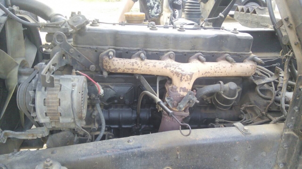 FVM12MY175. คัสชีสวย FVM12MY175. คัสชีสวย