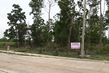 ที่ดินสวยๆ แถวโพรงอากาศ อ.บางน้ำเปรี้ยว จ.ฉะเชิงเทรา ที่ดินสวยๆ แถวโพรงอากาศ อ.บางน้ำเปรี้ยว จ.ฉะเชิงเทรา