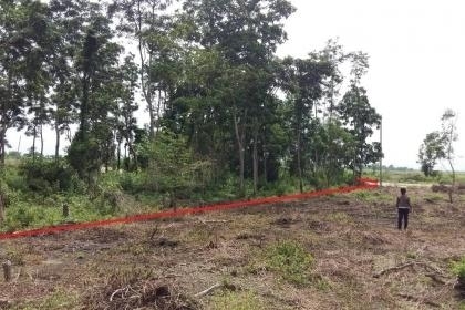 ที่ดินสวยๆ แถวโพรงอากาศ อ.บางน้ำเปรี้ยว จ.ฉะเชิงเทรา ที่ดินสวยๆ แถวโพรงอากาศ อ.บางน้ำเปรี้ยว จ.ฉะเชิงเทรา