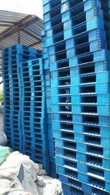 ขายพาเลทพลาสติกจำนวนมาก