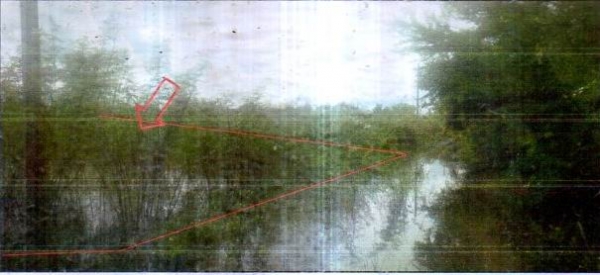 ขายที่ดินเปล่า ในอำเภอหนองกี่ บุรีรัมย์