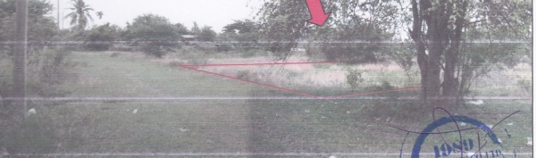 ขายที่ดินเปล่า ในอำเภอหนองกี่ บุรีรัมย์ ที่อยู่ในเขตเทศบาล โครงการในฝัน