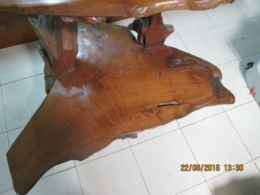 ขายถูก ไม้สักหนา ฃั้นตอไม้สักโฃว์สภาพสมบูรณ์ ขาย 2900บาท