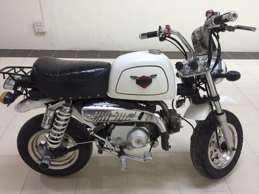 ขายกอลิล่าสีขาว ขายกอลิล่าสีขาว