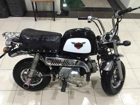 ขายกอลิล่าสีดำ ขายกอลิล่าสีดำ