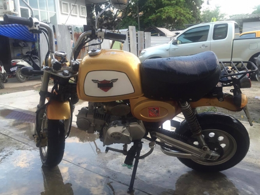 ขายกอลิล่า สีส้ม ขายกอลิล่า สีส้ม