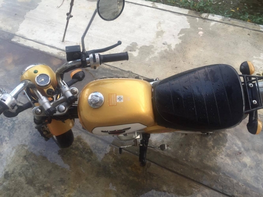 ขายกอลิล่า สีส้ม ขายกอลิล่า สีส้ม