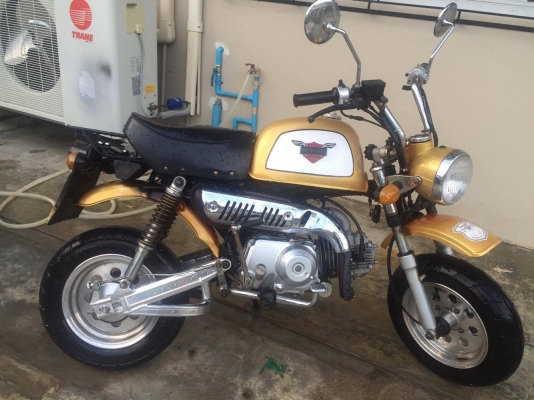 ขายกอลิล่า สีส้ม