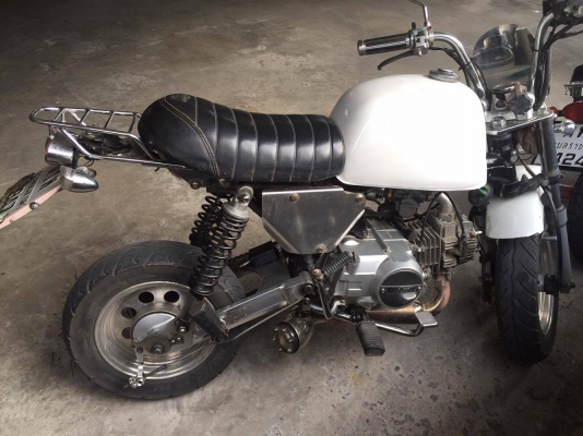 ขายกอลิล่า ท่อแต่ง ขายกอลิล่า ท่อแต่ง