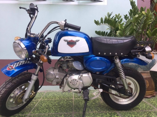 ขายกอลิล่า สีฟ้า