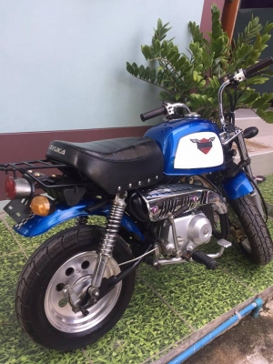 ขายกอลิล่า สีฟ้า ขายกอลิล่า สีฟ้า