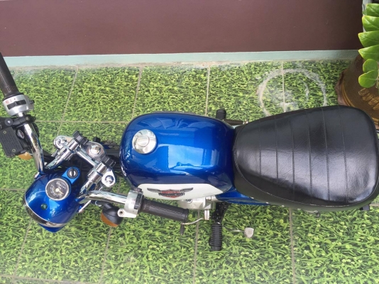 ขายกอลิล่า สีฟ้า ขายกอลิล่า สีฟ้า