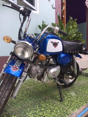 ขายกอลิล่า สีฟ้า ขายกอลิล่า สีฟ้า