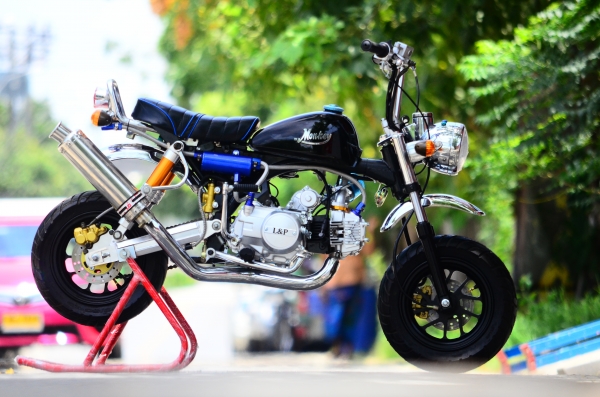 อะไหล่ !!!! ชาลี  มังกี้ กอลิล่า แต่ง  มีมากกว่า 100++ แบบ โครง cnc รวมของแต่งท่อ เบาะ เพียบ ราคาเริ่มต้น.........