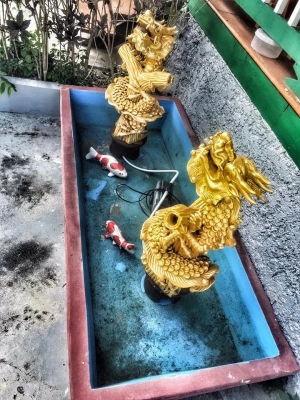 (บ่อเสริมสร้าง ฮวงจุ้ย โชคลาภ ร่ำรวยๆ) (บ่อเสริมสร้าง ฮวงจุ้ย โชคลาภ ร่ำรวยๆ)