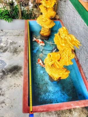 (บ่อเสริมสร้าง ฮวงจุ้ย โชคลาภ ร่ำรวยๆ) (บ่อเสริมสร้าง ฮวงจุ้ย โชคลาภ ร่ำรวยๆ)