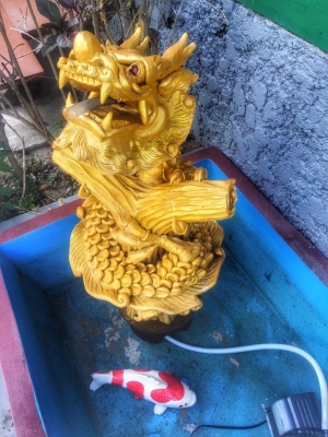 (บ่อเสริมสร้าง ฮวงจุ้ย โชคลาภ ร่ำรวยๆ) (บ่อเสริมสร้าง ฮวงจุ้ย โชคลาภ ร่ำรวยๆ)