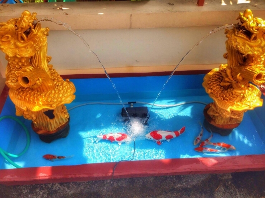 (บ่อเสริมสร้าง ฮวงจุ้ย โชคลาภ ร่ำรวยๆ)