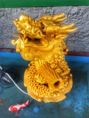 (บ่อเสริมสร้าง ฮวงจุ้ย โชคลาภ ร่ำรวยๆ) (บ่อเสริมสร้าง ฮวงจุ้ย โชคลาภ ร่ำรวยๆ)