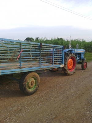 สีนวนจัดให้ Henomoto  23 แรง เครื่องดี สภาพสวย พร้อมใช้งาน มาพร้อมกับเทลเลอร์สภาพพร้อมใช้งาน สนใจติดต่อ 089-9638932