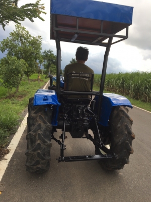 ขายไทชัน25แรงราคา35000บาทตัวปล่าวโทร08136559957อำพร พาเจริญ