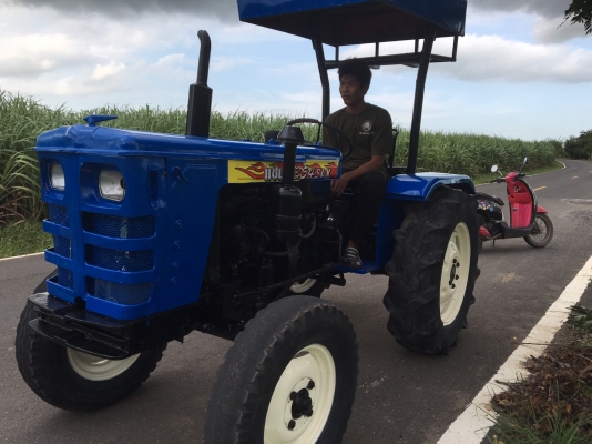 ขายไทชัน25แรงราคา35000บาทตัวปล่าวโทร08136559957อำพร พาเจริญ