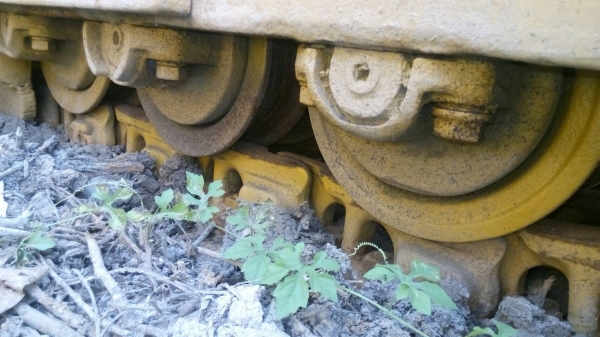 ขายรถแทรกเตอร์ CAT-D-5-D ตีนไก่ สภาพสวยพร้อมใช้งาน เครื่อง 43-V ขายไม่แพงครับ