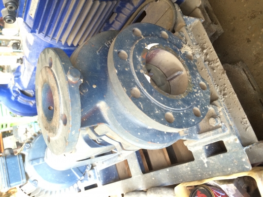 ขายปั๊มสูบน้ำ