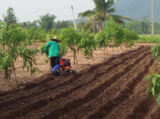 ขายรถพรวนดิน ขายรถพรวนดิน