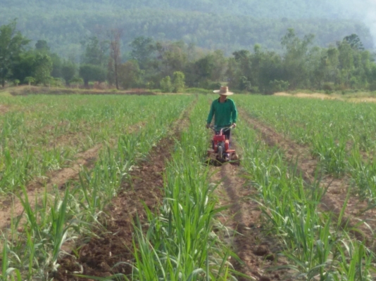 ขายรถพรวนดิน ขายรถพรวนดิน