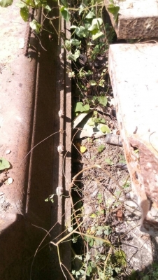 ขายใบมีดรถแทรกเตอร์  CAT-D-3 ความยาว 275 ซม. ความกว้าง 72 ซม.ใบมีดเก่านอก เอาไปแปลงเป็น ของ D-4 ได้ครับ ขายไม่แพง