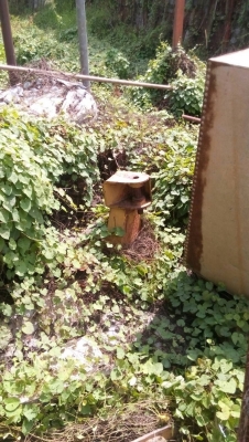 ขายใบมีดรถแทรกเตอร์  CAT-D-3 ความยาว 275 ซม. ความกว้าง 72 ซม.ใบมีดเก่านอก เอาไปแปลงเป็น ของ D-4 ได้ครับ ขายไม่แพง