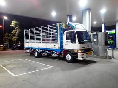 ขายHENO FC 4j 145HP ยาว5.5เมตร รถห้างแท้ เอกสานพร้อมโอน ทะเบียนประกัน พร้อมเพิ่งทำมาคัชชีงามมาก แอร์เบ็นเพลงเพราะ เบรกทิฟฟี่ ขายHENO FC 4j 145HP ยาว5.5เมตร รถห้างแท้ เอกสานพร้อมโอน ทะเบียนประกัน พร้อมเพิ่งทำมาคัชชีงามมาก แอร์เบ็นเพลงเพราะ เบรกทิฟฟี่