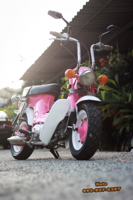 ขายด่วน ชาลี Honda Chaly ราคาพิเศษ 16,000 บาท -เครื่องเดิมแน่น เงียบๆ เดินเบานิ่งๆ -ระบบไฟติดหมด แตรดัง,ไฟเลี้ยวซ้าย-ขวา,ไฟเบรค,ไฟสูงตํ่า -แบต 6V.ใหม่แกะกล่อง มีฝาครอบแบต -สีใหม่ๆเงาๆ -เบรคหน้า-หลัง ใช้งานดีหนึบๆ -กระจกมองหลัง -กรองเปลือย -เบาะเหล็กแท้ๆ - ขายด่วน ชาลี Honda Chaly ราคาพิเศษ 16,000 บาท -เครื่องเดิมแน่น เงียบๆ เดินเบานิ่งๆ -ระบบไฟติดหมด แตรดัง,ไฟเลี้ยวซ้าย-ขวา,ไฟเบรค,ไฟสูงตํ่า -แบต 6V.ใหม่แกะกล่อง มีฝาครอบแบต -สีใหม่ๆเงาๆ -เบรคหน้า-หลัง ใช้งานดีหนึบๆ -กระจกมองหลัง -กรองเปลือย -เบาะเหล็กแท้ๆ -