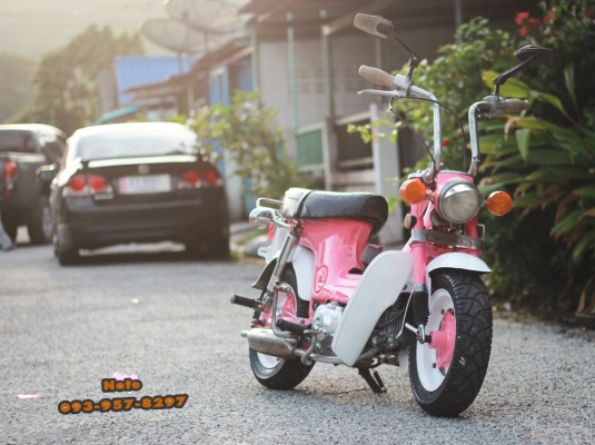 ขายด่วน ชาลี Honda Chaly ราคาพิเศษ 16,000 บาท -เครื่องเดิมแน่น เงียบๆ เดินเบานิ่งๆ -ระบบไฟติดหมด แตรดัง,ไฟเลี้ยวซ้าย-ขวา,ไฟเบรค,ไฟสูงตํ่า -แบต 6V.ใหม่แกะกล่อง มีฝาครอบแบต -สีใหม่ๆเงาๆ -เบรคหน้า-หลัง ใช้งานดีหนึบๆ -กระจกมองหลัง -กรองเปลือย -เบาะเหล็กแท้ๆ - ขายด่วน ชาลี Honda Chaly ราคาพิเศษ 16,000 บาท -เครื่องเดิมแน่น เงียบๆ เดินเบานิ่งๆ -ระบบไฟติดหมด แตรดัง,ไฟเลี้ยวซ้าย-ขวา,ไฟเบรค,ไฟสูงตํ่า -แบต 6V.ใหม่แกะกล่อง มีฝาครอบแบต -สีใหม่ๆเงาๆ -เบรคหน้า-หลัง ใช้งานดีหนึบๆ -กระจกมองหลัง -กรองเปลือย -เบาะเหล็กแท้ๆ -