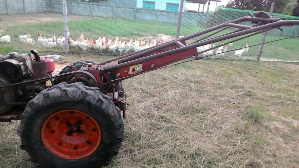 รถไถเดินตาม 9.5 แรง หางจักเพรช ราคา 14000 บาท ราคาเบาฯฯ ใช้งานได้สบาย ต้องการขาย สอบถามทีเบอร์ 0986683479 สิทธิ์ คับ รถไถเดินตาม 9.5 แรง หางจักเพรช ราคา 14000 บาท ราคาเบาฯฯ ใช้งานได้สบาย ต้องการขาย สอบถามทีเบอร์ 0986683479 สิทธิ์ คับ