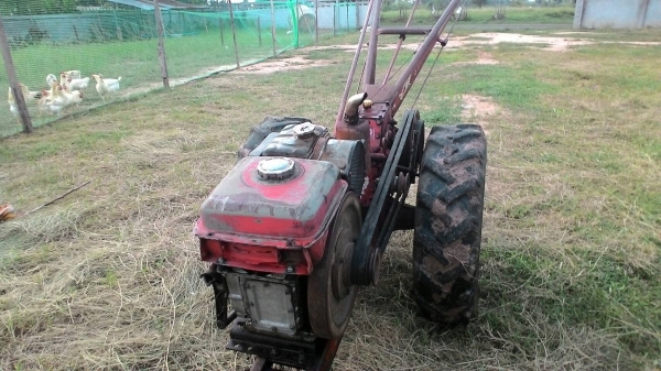 รถไถเดินตาม 9.5 แรง หางจักเพรช ราคา 14000 บาท ราคาเบาฯฯ ใช้งานได้สบาย ต้องการขาย สอบถามทีเบอร์ 0986683479 สิทธิ์ คับ รถไถเดินตาม 9.5 แรง หางจักเพรช ราคา 14000 บาท ราคาเบาฯฯ ใช้งานได้สบาย ต้องการขาย สอบถามทีเบอร์ 0986683479 สิทธิ์ คับ