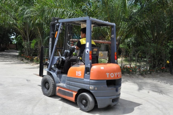 ขายFORKLIFT TOTOTA 6FG15 (1.5ตัน) เสา3เมตร สวยเดิมจากญี่ปุ่น ยังไม่เคยใช้ในไทย 139,000เท่านั้น!!