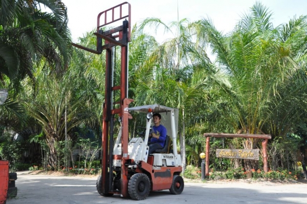 ((ลดกระหน่ำ))ขายFORKLIFT NISSAN FG10 ใหม่สุด(1.ตัน) เสา3เมตร สวยเดิมจากญี่ปุ่น ยังไม่เคยใช้ในไทย 85,000เท่านั้น!!