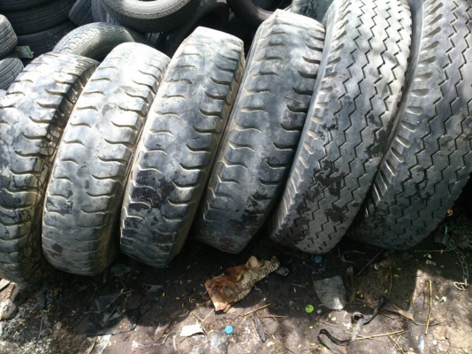 ขายยาง  900-20 ไฟร์สโตน ปี13 พร้อมยางในยางรอง จำนวน 6 ชุด