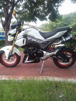 ท่อคู่ RPG เบิกใหม่ 13,000 ขาย 8,000.-ใส่ MSX / DEMON / KSR ท่อคู่ RPG เบิกใหม่ 13,000 ขาย 8,000.-ใส่ MSX / DEMON / KSR