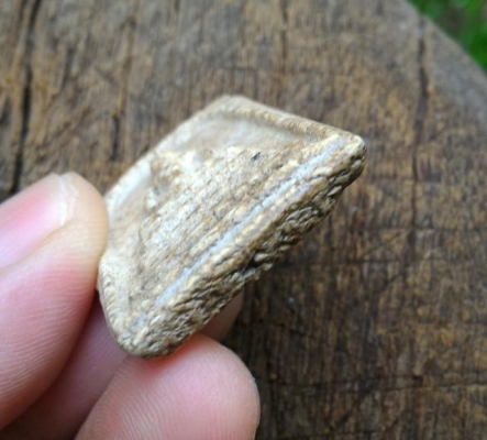 พระสมเด็จวัดระฆัง m006 พิมพ์สวย แตกลายสวย มวลสารชัดเจน