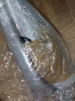 ขายราวหลังคา land cruiser cygnus vx100 สีขาว 10000 บาท สนใจติดต่อ 0827861333 รับของลาดพร้าว 87 ครับ ขายราวหลังคา land cruiser cygnus vx100 สีขาว 10000 บาท สนใจติดต่อ 0827861333 รับของลาดพร้าว 87 ครับ